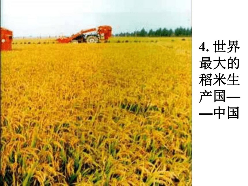 高中地理必修2《3.2以种植业为主的农业地域类型》（共37张PPT）