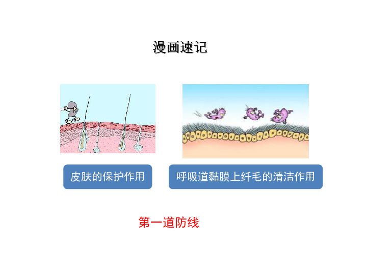 人教版生物八年级下册 8.1.2 免疫和计划免疫 课件（共55张PPT）