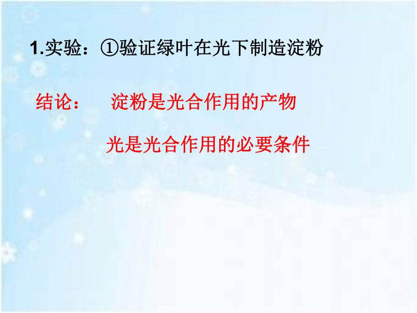 2021年中考专题复习济南版：绿色植物的光合作用与呼吸作用 课件（42张PPT）