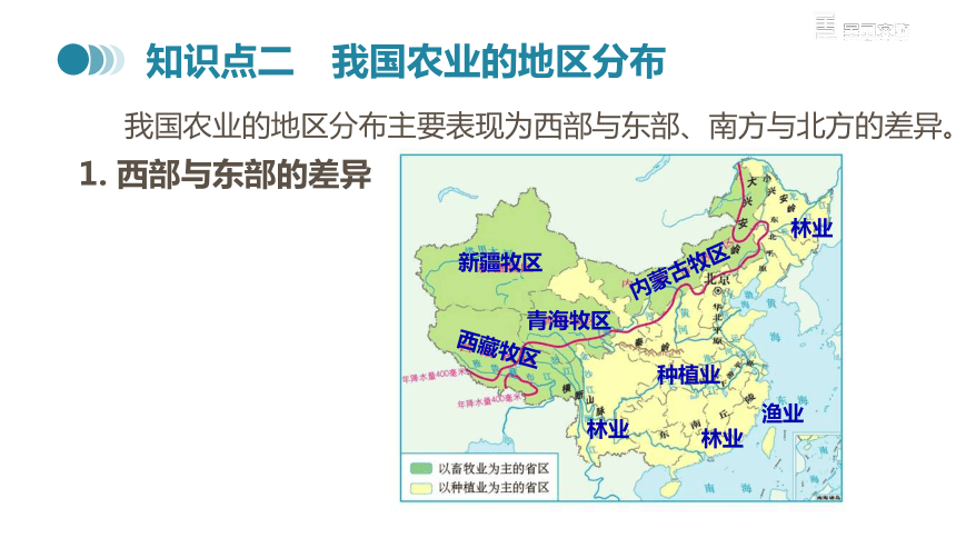 人教版地理八年级上册同步新授课件第4章第2节第1课时农业及其重要性