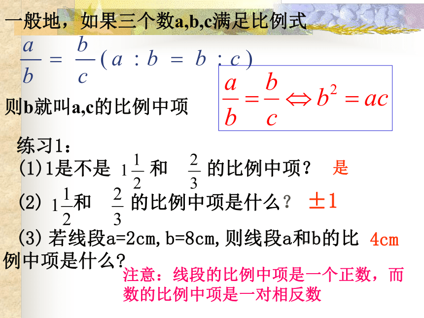 4.1.3比例线段