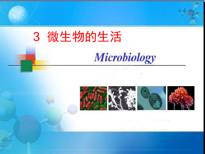 3.3 微生物的生活 课件(12张PPT)