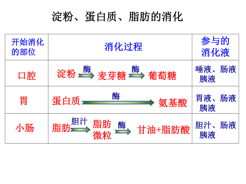 第一章 人的生活需要营养复习课件（济南版七年级上）