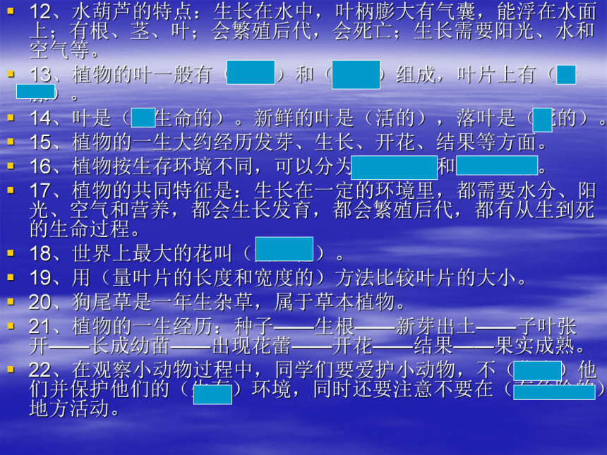 三年级上册科学总复习