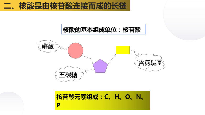 八种核苷酸图片