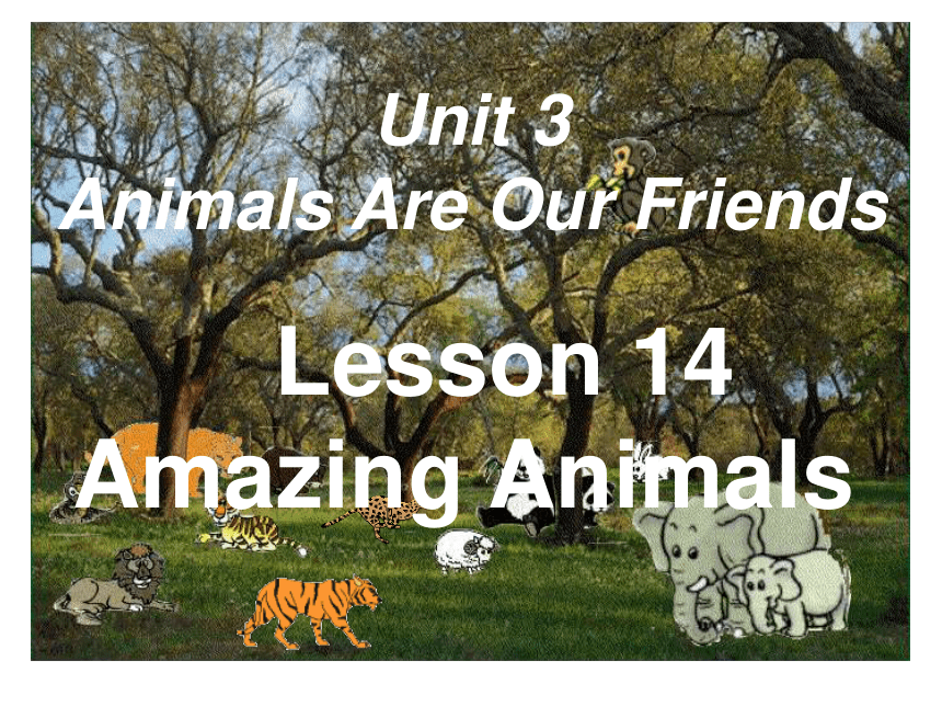 Unit 3 Animals Are Our Friends.Lesson 14 Amazing Animals.课件