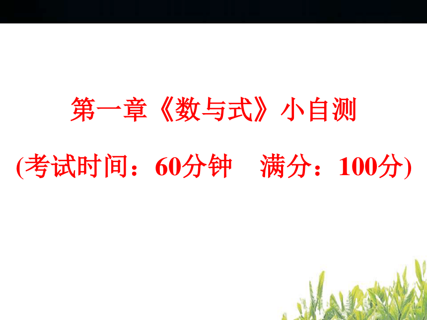 2018年浙江中考数学复习数与式小自测(28张PPT)