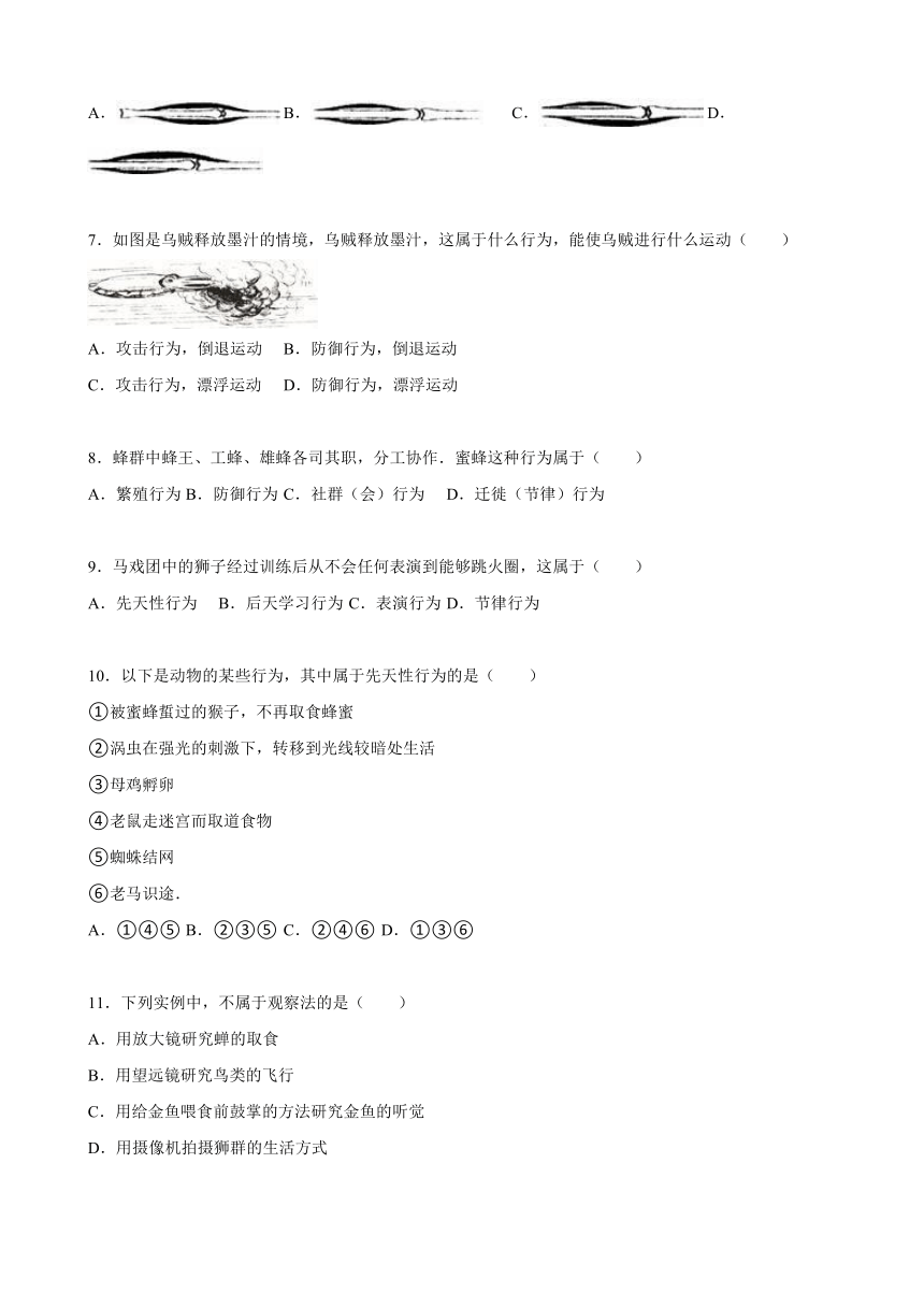 福建省南平市邵武七中2015-2016学年八年级上期中生物试卷（解析版）