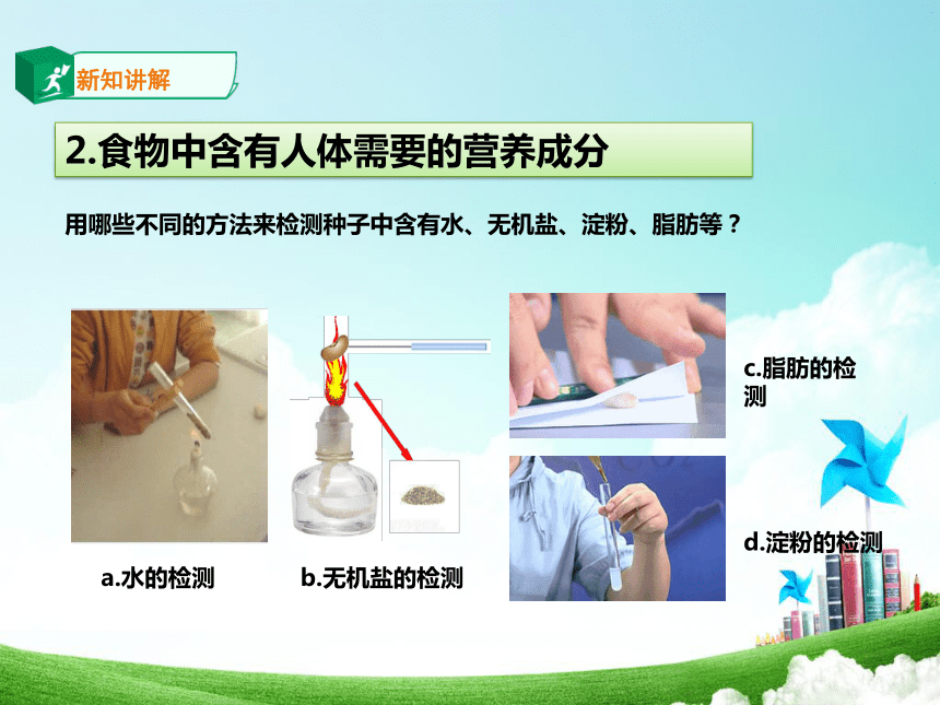 北师大版生物七年级下册 4.8.1 人类的食物 课件(共25张PPT)