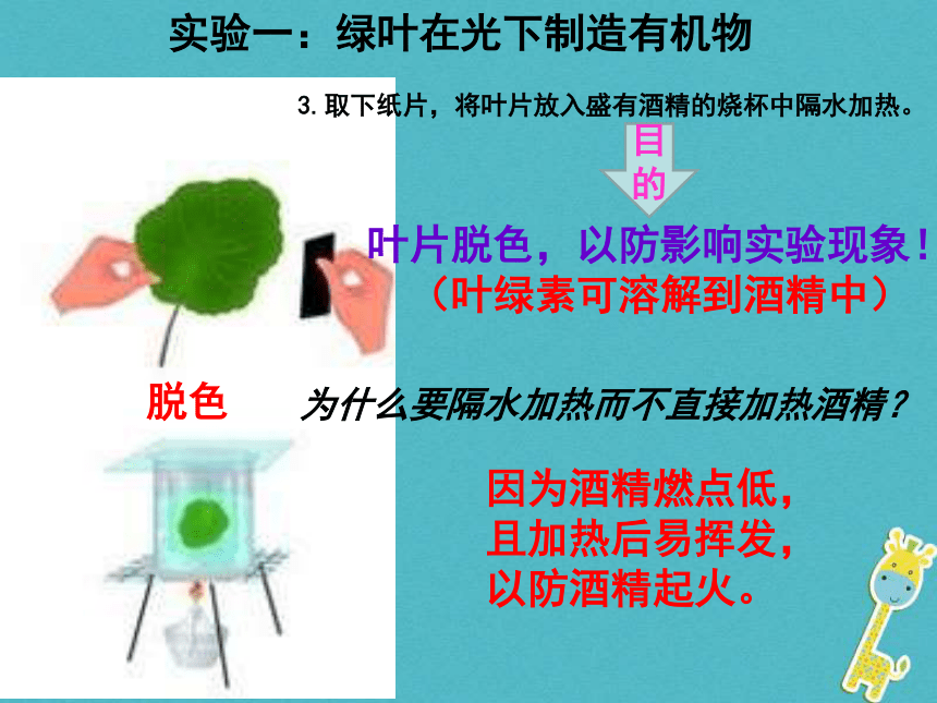 光合作用的产物课件(42张PPT)