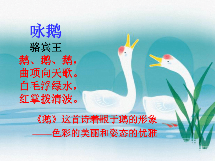 《白鹅》PPT课件（23张PPT）