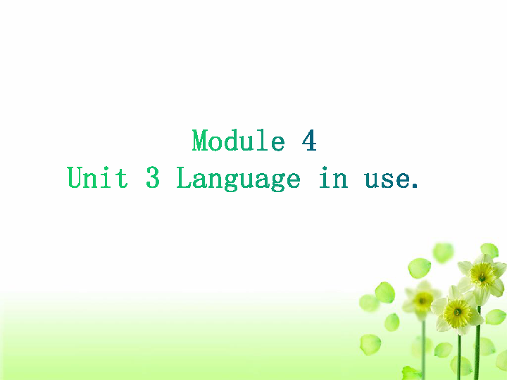 外研英语九上 Module 4 Home alone Unit 3 Language in use.课件15张