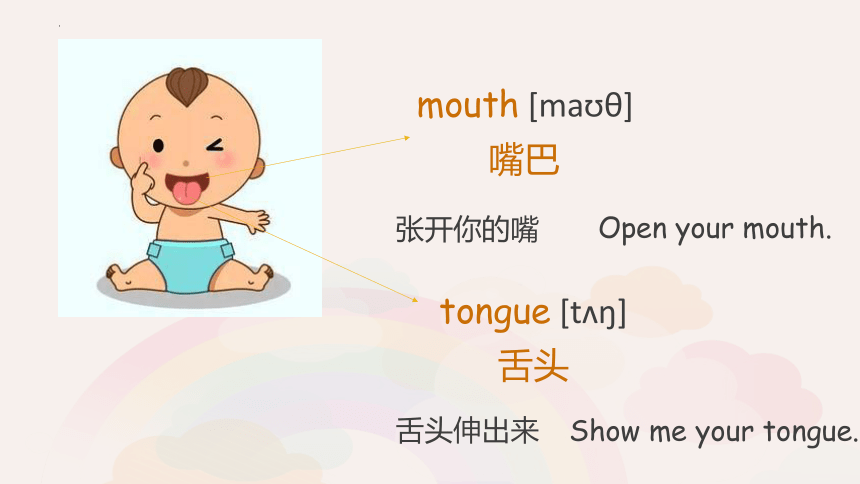 嘴巴的英语单词怎么读图片