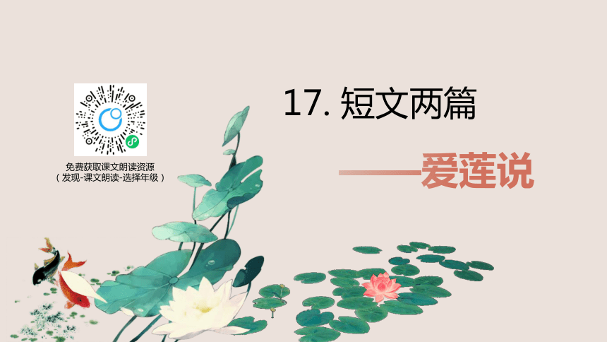 课件预览