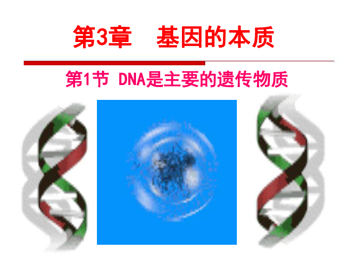 人教版必修2高中生物3.1 DNA是主要的遗传物质(25张PPT)