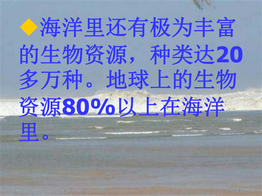 语文八年级上新教版（汉语）13《海洋—21世纪的希望》课件（54张）