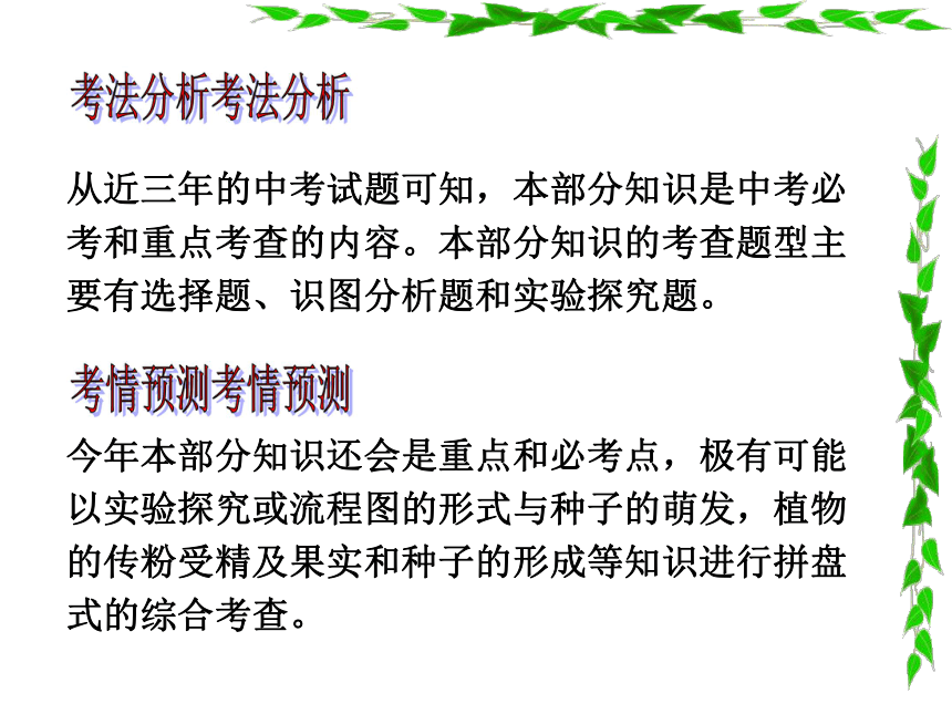 2021年中考生物一轮复习---绿色植物的光合作用和呼吸作用复习课教学课件（共35张PPT）