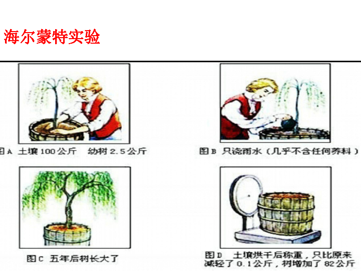 人教版七年级上册生物课件 3.5.1 光合作用吸收二氧化碳释放氧气 课件 （共27张PPT）