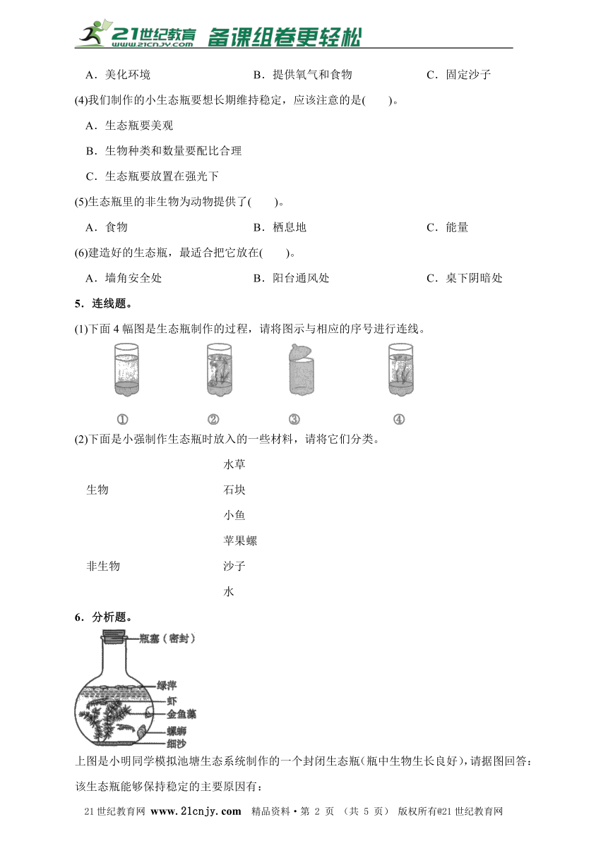 1.6做一个生态瓶同步练习