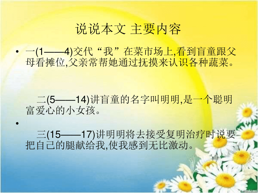 《番茄太阳》ppt（32张PPT）