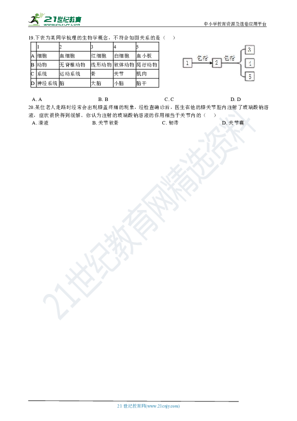 5.2.1 动物的运动 同步训练（含答案）