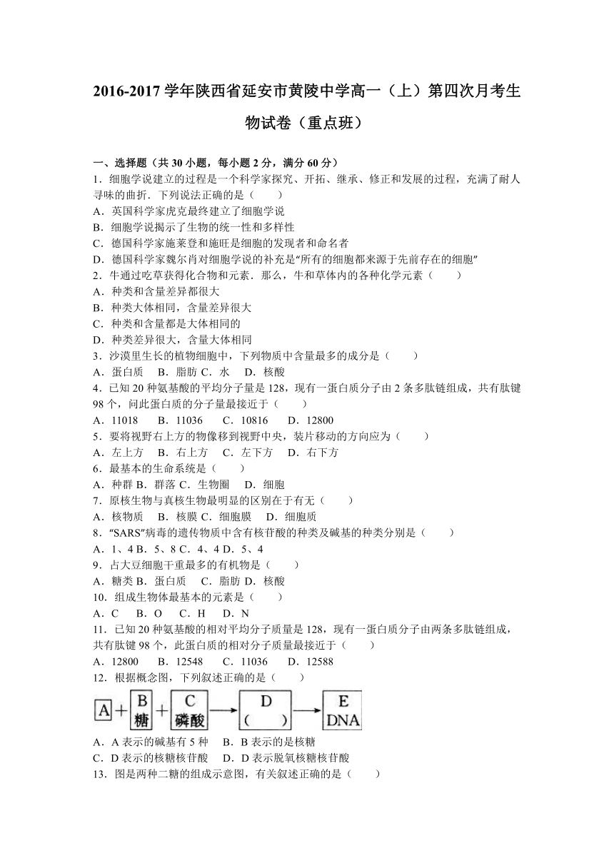 陕西省延安市黄陵中学2016-2017学年高一（上）第四次月考生物试卷（重点班）（解析版）