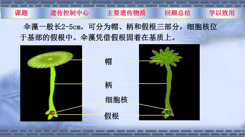 8.22.1 DNA是主要的遗传物质 课件