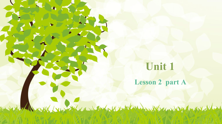 Unit 1 My friends and me Lesson 2 课件