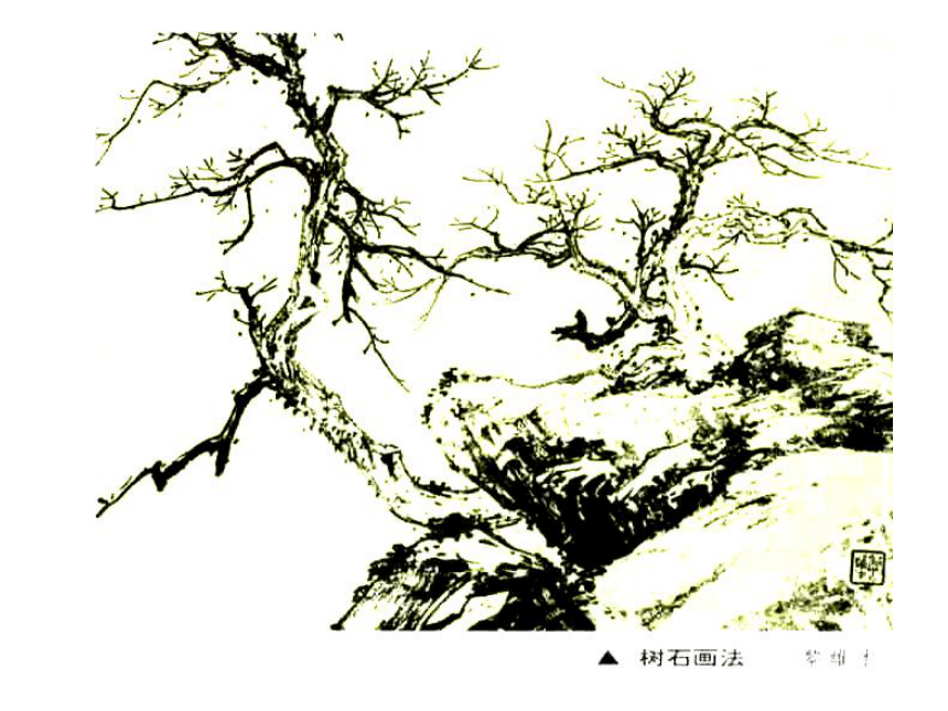 美术8下--千姿百态的树石画法