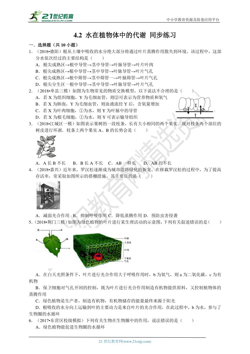 4.2 水在植物体中的代谢 同步练习