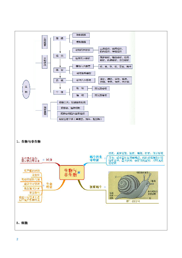 浙教版暑假7年级上册第二章 观察生物 章节讲义