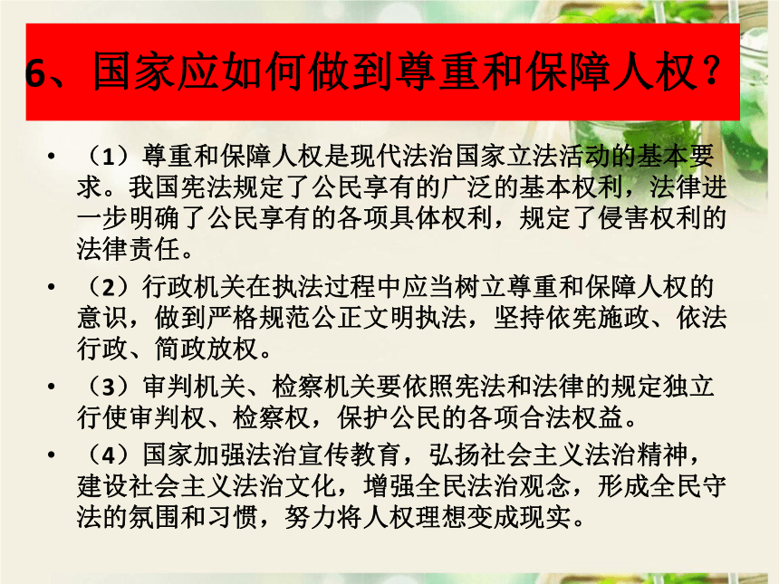 第一课维护宪法的权威  复习课件 (29张PPT)