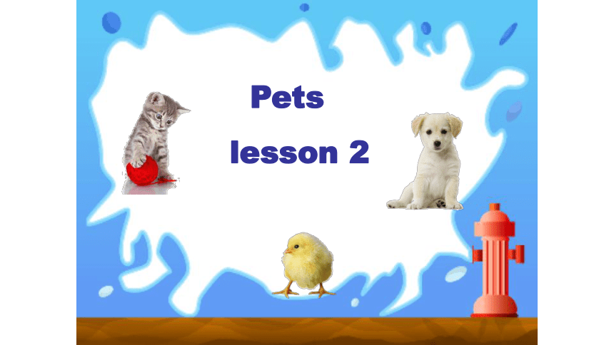 Unit 4 Pets Lesson 2 课件
