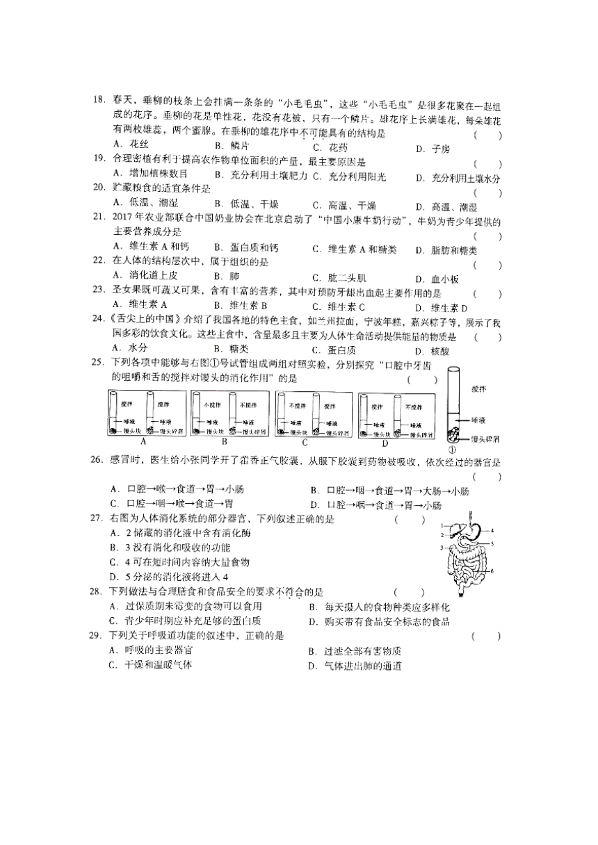 北京市海淀区2018届九年级上学期期中考试生物试题（图片版）