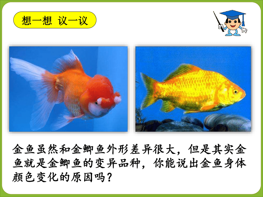 生物的变异  课件+素材