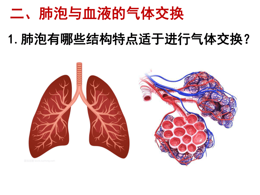 32 发生在肺内的气体交换2 课件(共21张ppt)