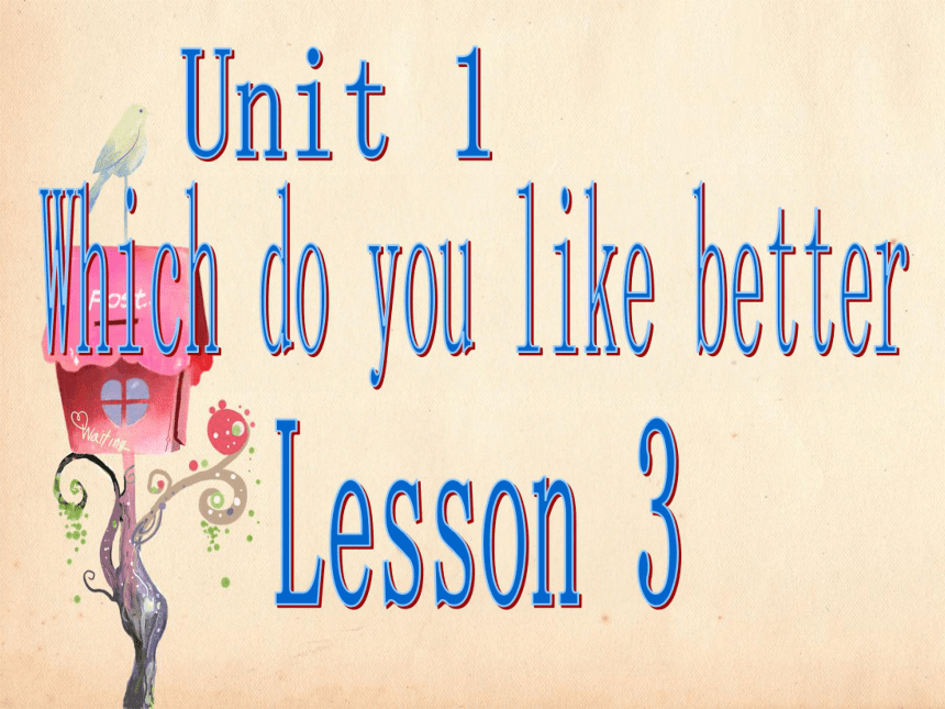 Unit 1 Which do you like better? Lesson 3 课件