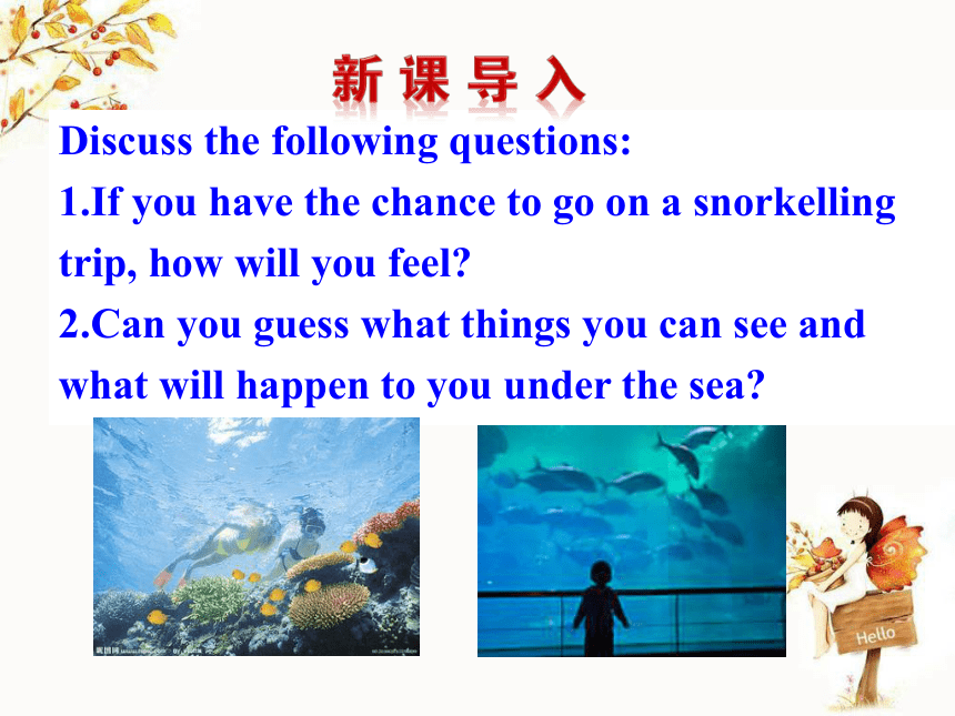 Unit 3 Under the sea Learning about Language 课件（49张）