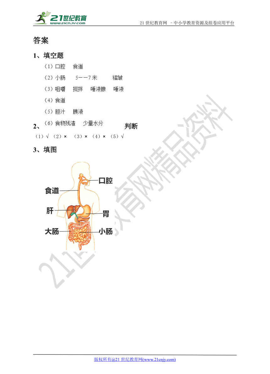 6.5食物在体内的旅行 （练习）