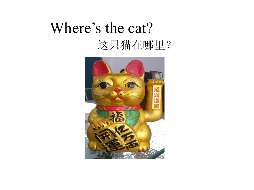 Unit  11  Where's the cat? 课件