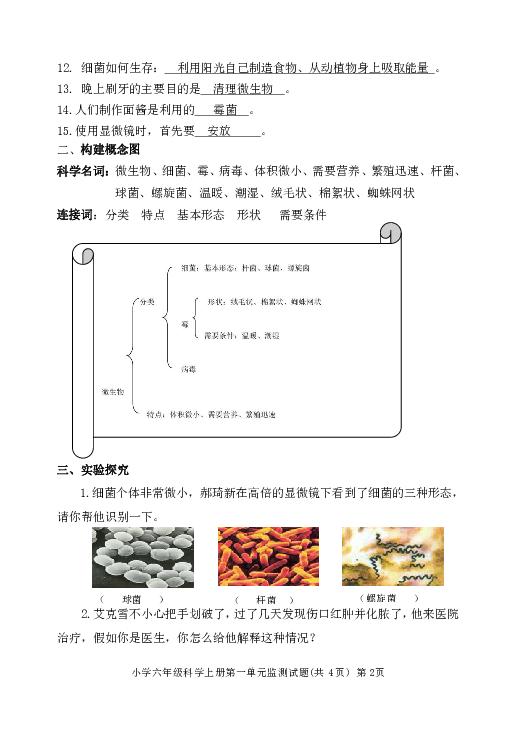 六年级上册科学试题第一单元显微镜下的世界试题带答案