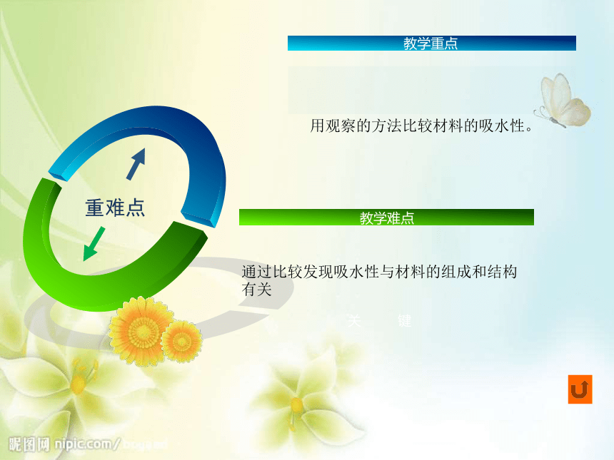 第十八节 它们吸水吗     教案（PPT)