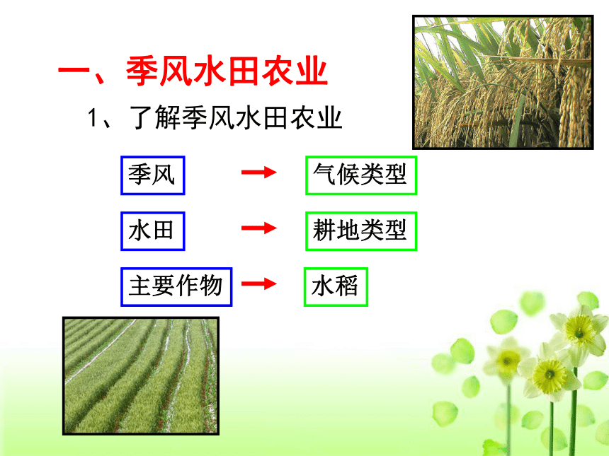 江西省南昌市湾里区第一中学人教版地理必修二3.2以种植业为主的农业地域类型 (共39张PPT)