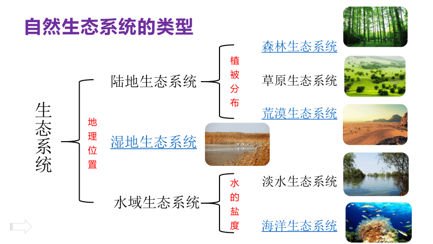 524多种多样的生态系统课件17张沪教版第二册