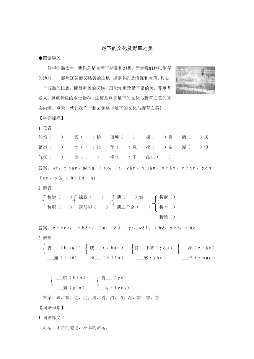 足下的文化及野草之美 学案2