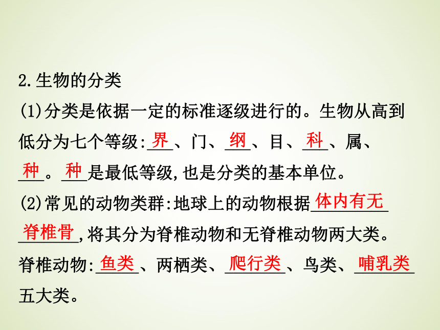 浙教版九年级科学中考复习课件：生物和构成生物的结构层次