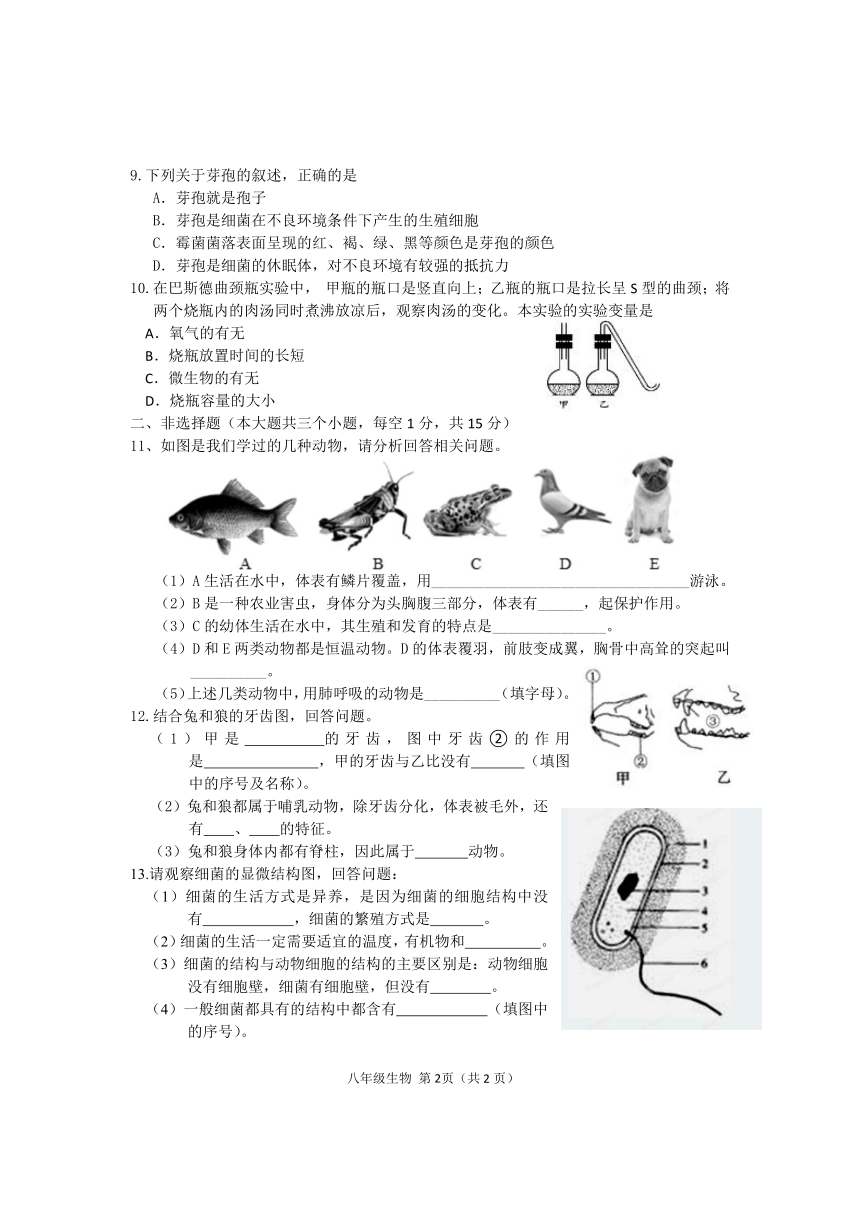 湖北省梁子湖区2021-2022学年八年级上学期期中质量监测生物试题（word版 含答案）