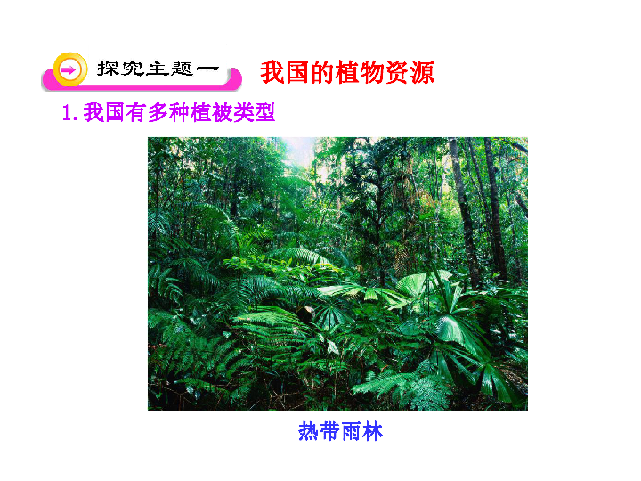 北师大版七年级上册生物  7.2 我国的植物资源 课件  (34张PPT)