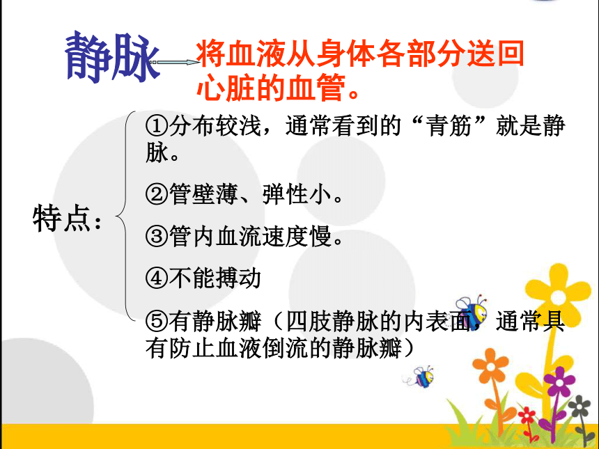 人教版初中生物七年级下册课件 第四章   第二节  血流的管道——血管（共20  张ppt）