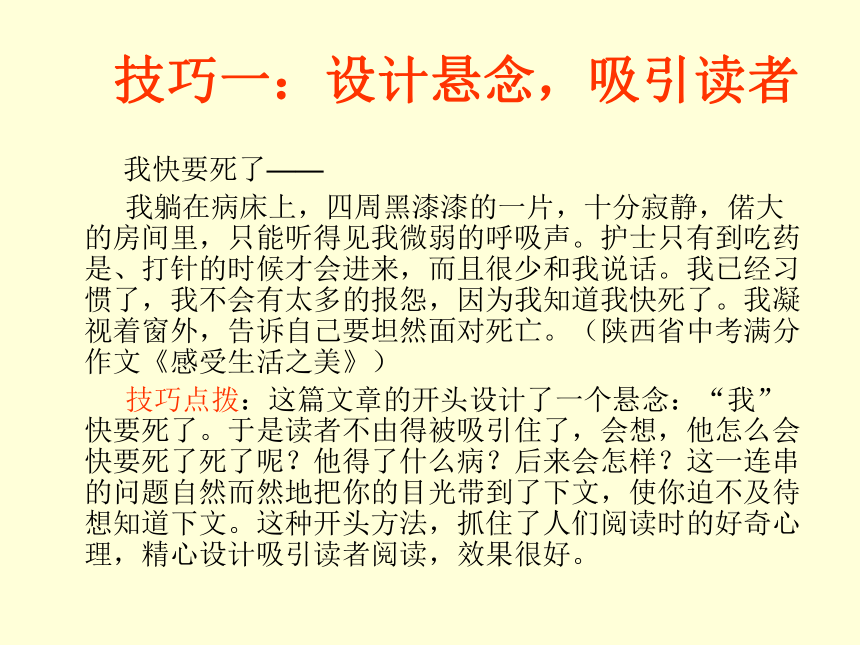 课件预览